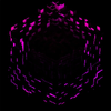 Avatar of Vermetra