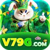 Avatar of V79G