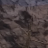 Avatar of kevin.kaminski02