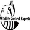 Avatar of Wildlife Control Experts