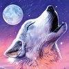 Avatar of CreeperBoss257