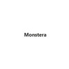 Avatar of cây trầu bà lá xẻ Monstera