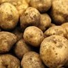 Avatar of potatospudling