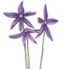 Avatar of Arilenax