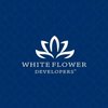 Avatar of whiteflower01