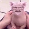 Avatar of vitoriscool