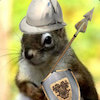 Avatar of Momoderator