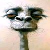 Avatar of Vatchanny
