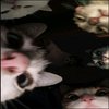 Avatar of Lacky