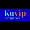 Avatar of kuvip8com