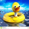 Avatar of duck