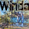 Avatar of Window