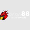 Avatar of daga88asia1