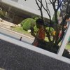 Avatar of Phoom.Thongmaaeng