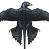 Avatar of Utahraptor22