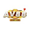 Avatar of AV88