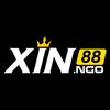 Avatar of xin88ngo