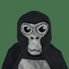 Avatar of paytononeal