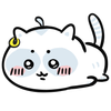 Avatar of whiteraccoontw