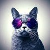 Avatar of artst