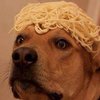 Avatar of NoodlePoodleVR