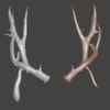 Avatar of PeakReplicas
