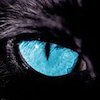 Avatar of Wesley.Obrie.Diks