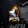 Avatar of wolves team