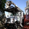 Avatar of Tree Service & Removal Floral Park