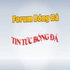 Avatar of forumbongdavn