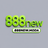 Avatar of 888newmoda