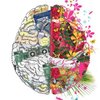 Avatar of charlesbrain