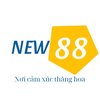 Avatar of New88