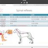 Avatar of jiaxinyew