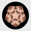 Avatar of Digi Origi