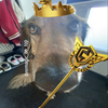 Avatar of mrperzik