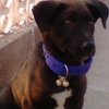 Avatar of nitinsharma172004