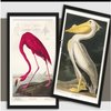 Avatar of Audubon Art Print