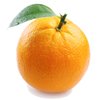Avatar of orangenow