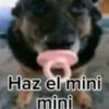 Avatar of hazelminimini