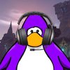 Avatar of sn0ww0lf