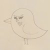 Avatar of WileyKitKat