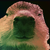 Avatar of Leocaddo