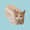 Avatar of Jelly_cat