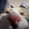 Avatar of kyledunk123