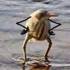 Avatar of _burd_