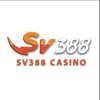 Avatar of SV388gold top