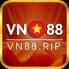 Avatar of VN88