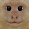 Avatar of ZACH THE DIDDY