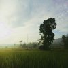 Avatar of nabilaakmala03